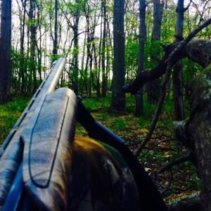 Meet your Posher, Corbin